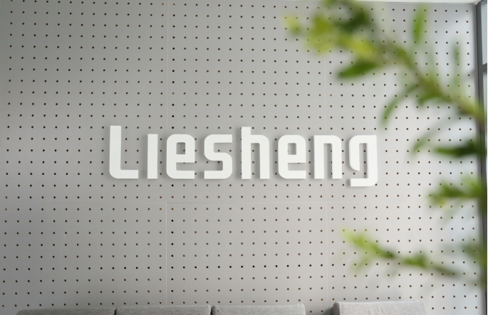 Liesheng Technology: Committed to Becoming the World's Leading Consumer Electronics Brand Company
